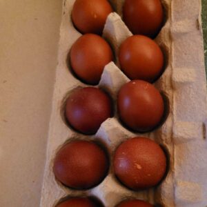 SILVER SWAN - PREMIUM DARK BROWN ORGANIC FREE RANGE EGGS - DOZEN
