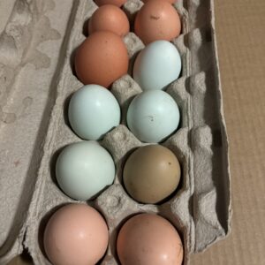 SILVER SWAN - ORGANIC FREE RANGE EGGS RAINBOW/ BROWN - Dozen